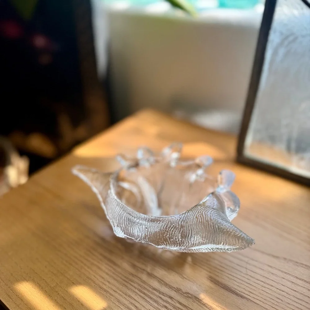 Vintage Clear Glass Conch Shell Catchall Dish – Coastal Trinket Bowl